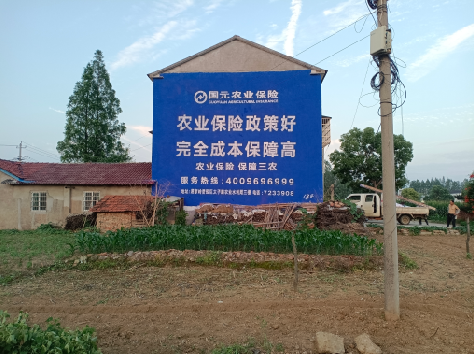 正安墙体广告的优劣势你知道吗？